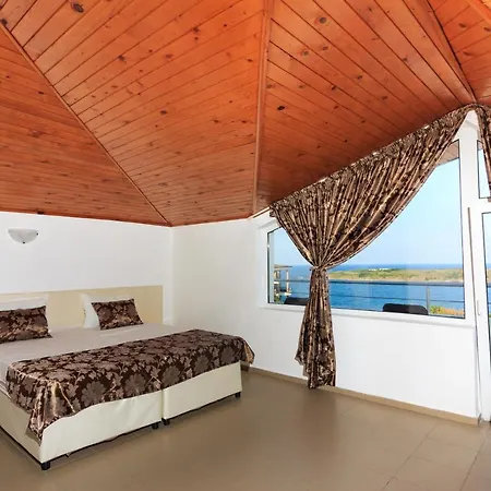 Sunny Dream צרבו