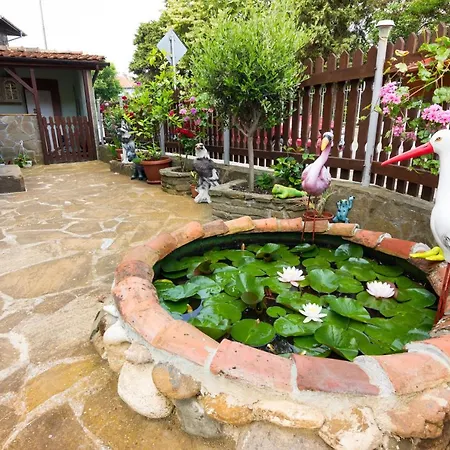 Sunny Dream Guest house 3*