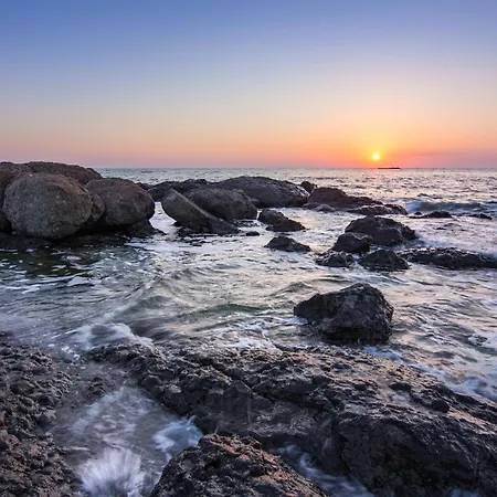 Sunny Dream צרבו